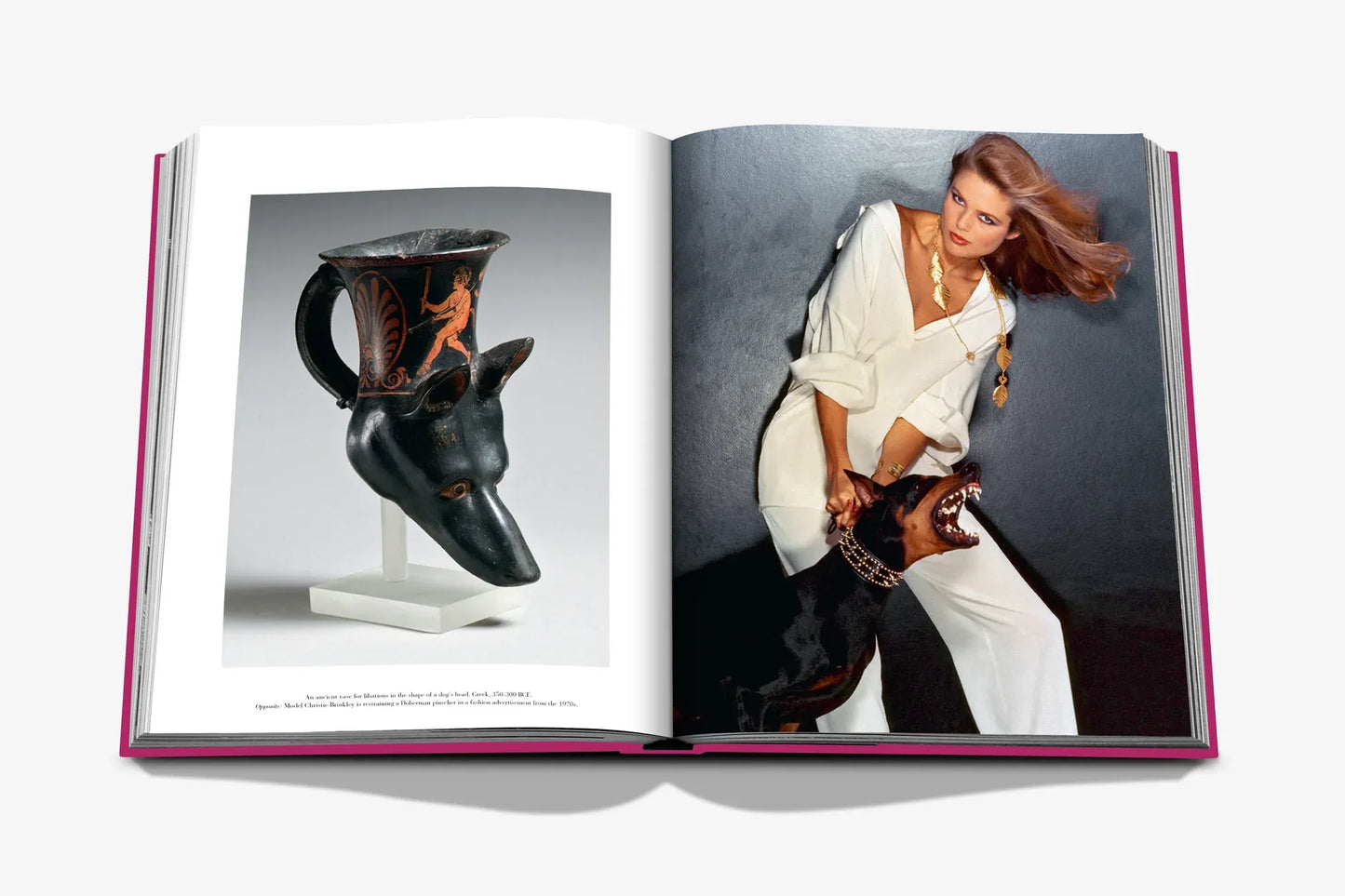Chic Dogs photo book