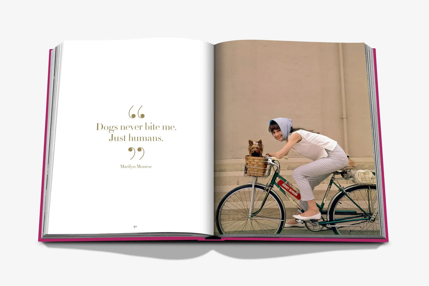 Chic Dogs photo book