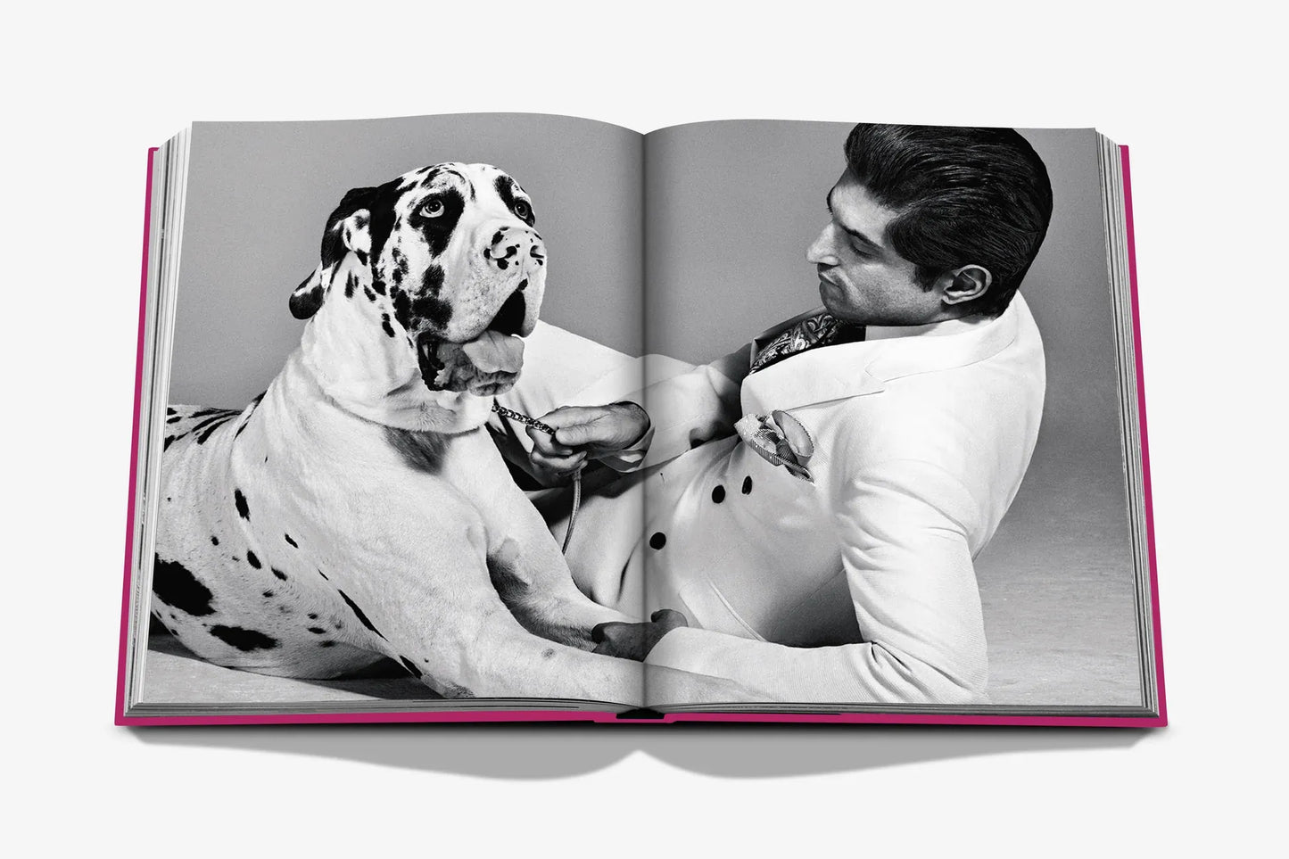 Chic Dogs photo book