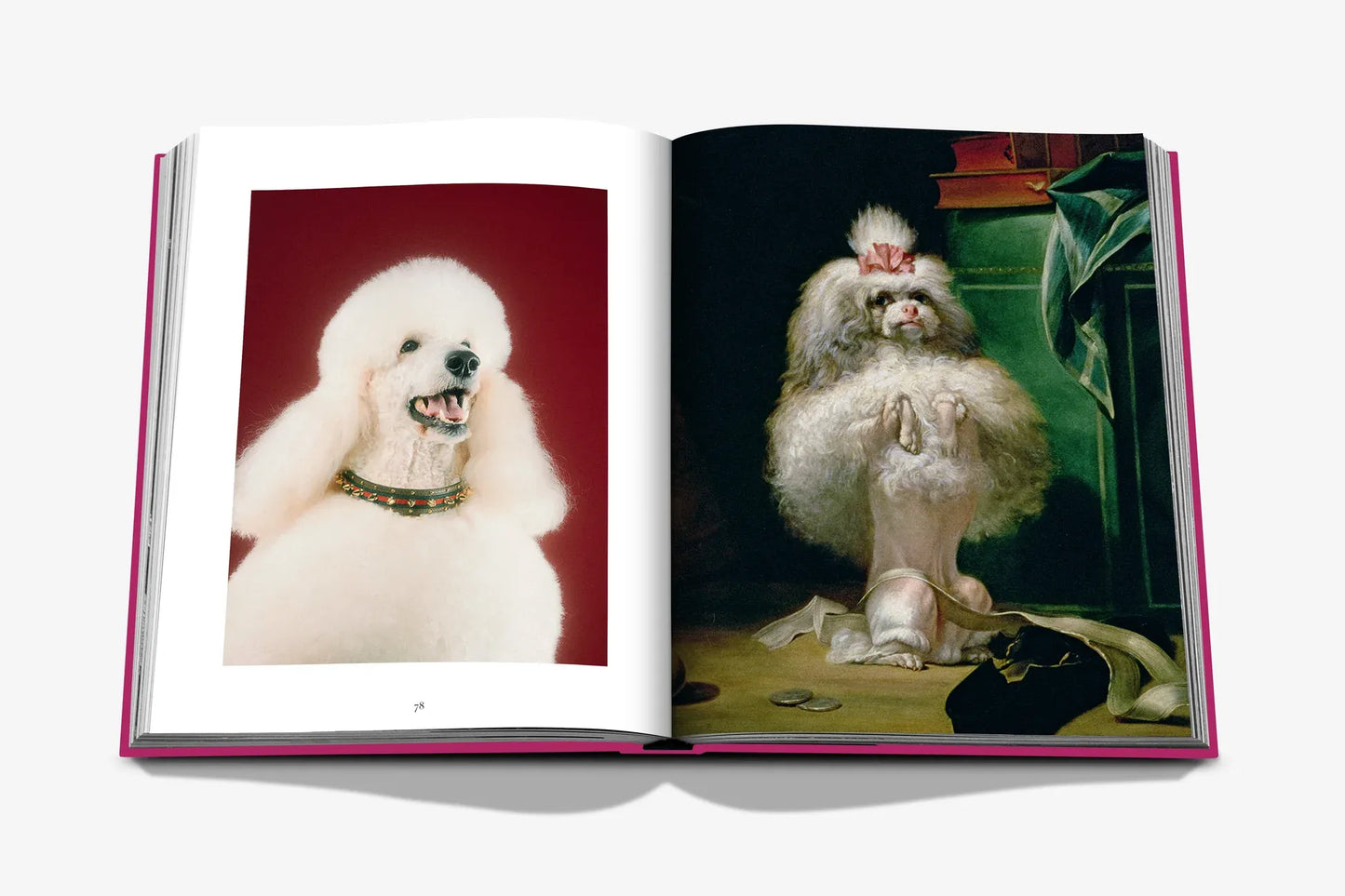 Chic Dogs photo book