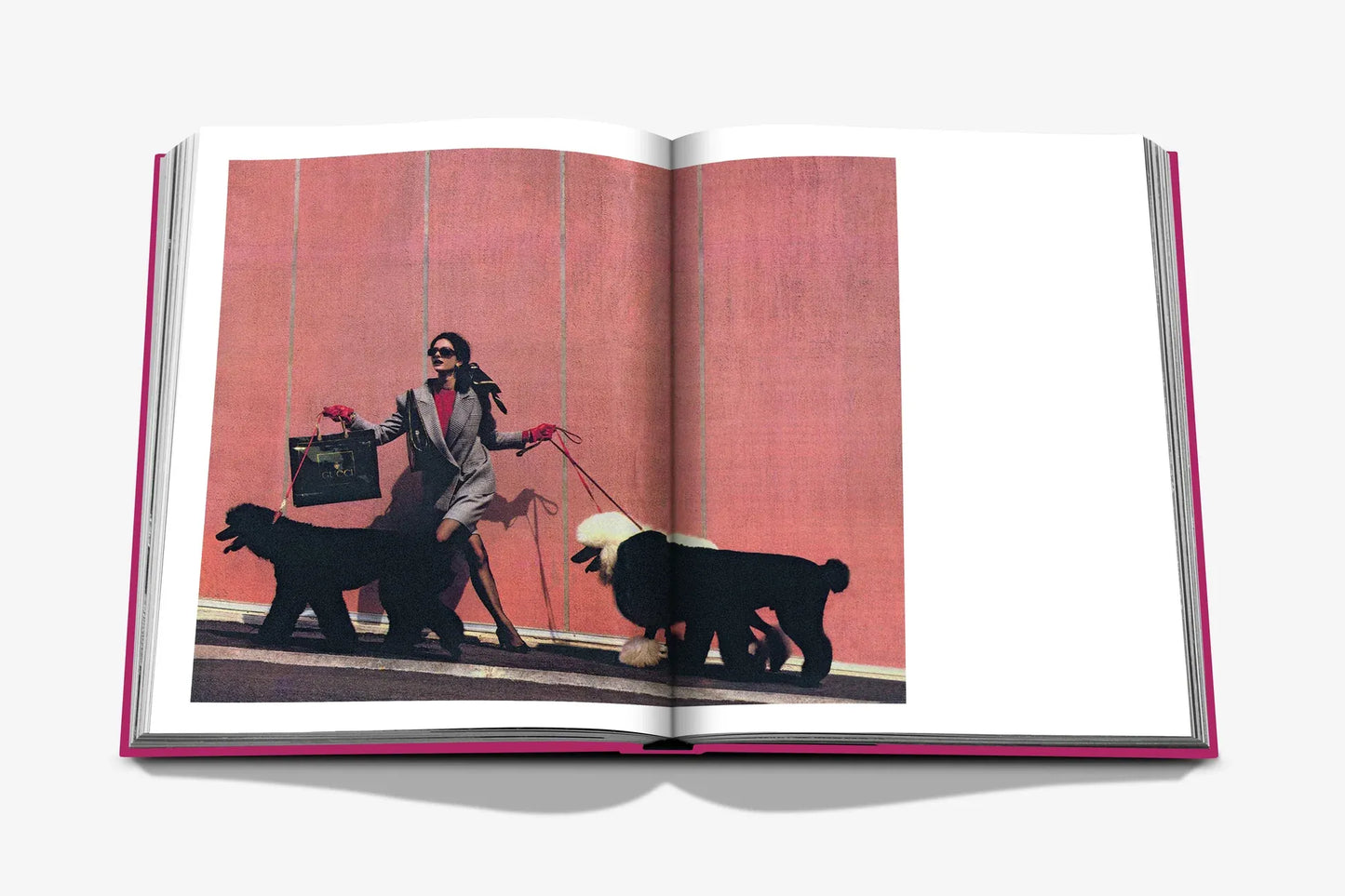 Chic Dogs photo book