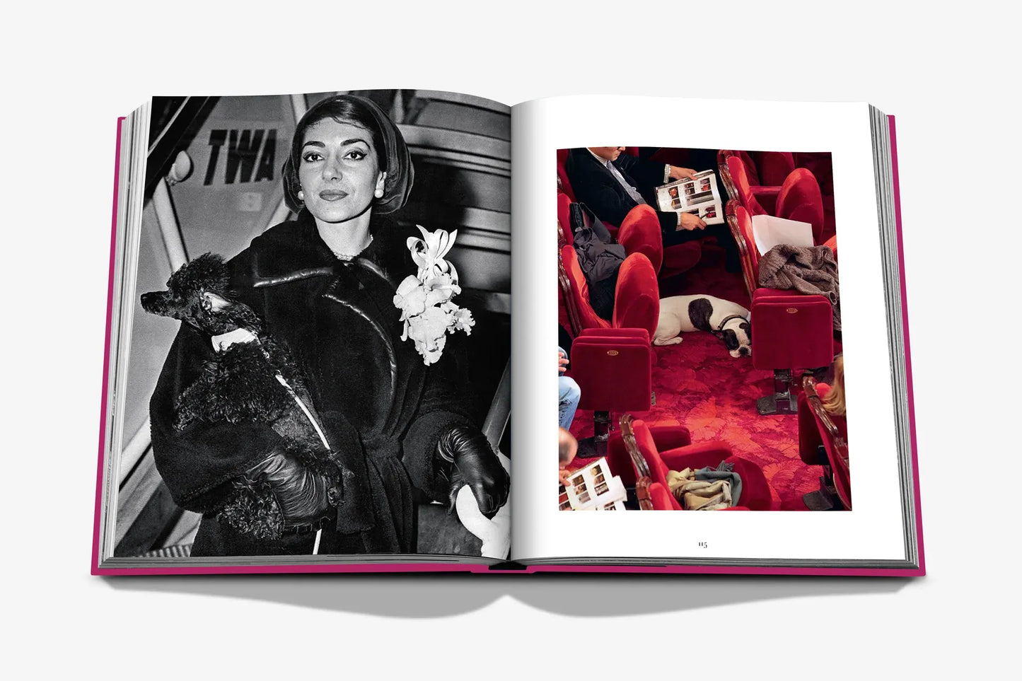 Chic Dogs photo book