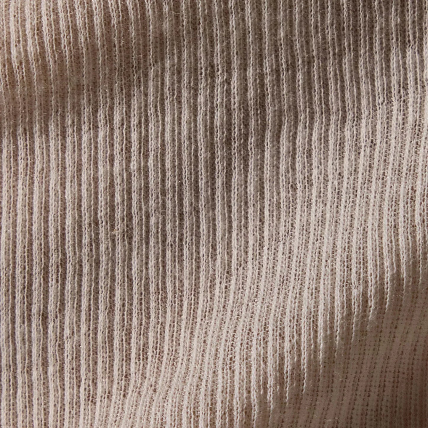 Shirt Cotton Cashmere Blend Ribbed Crew in Ivory