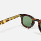 Jane sunglasses in Tortoise