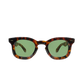 Jane sunglasses in Tortoise