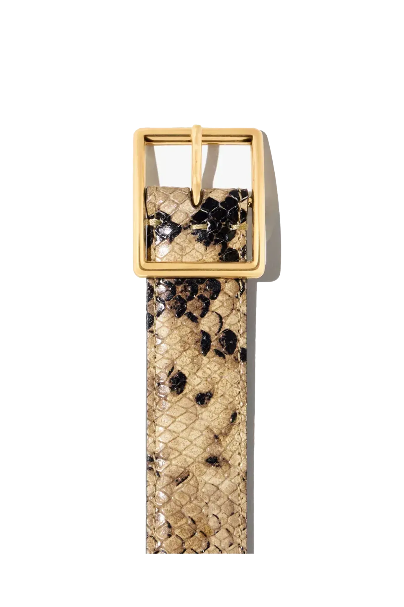 Gürtel Gabriele in Taupe Snakeskin Gold Buckle