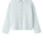 Shirt Brushed in Ice Blue