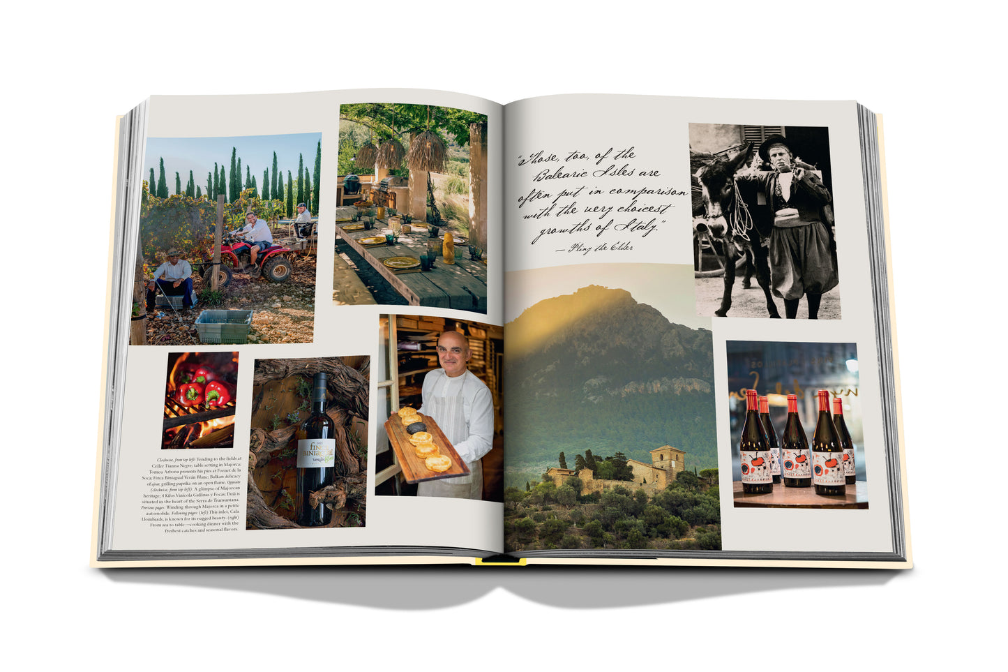 Photo book Wine &amp; Travel Mediterranean Islands