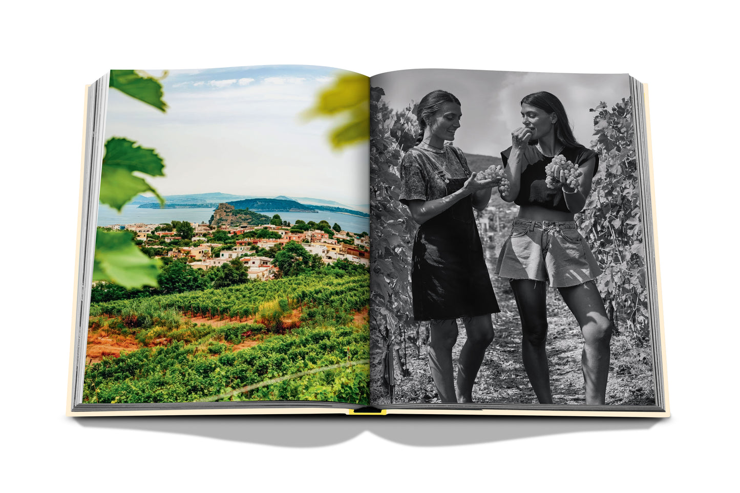 Photo book Wine &amp; Travel Mediterranean Islands