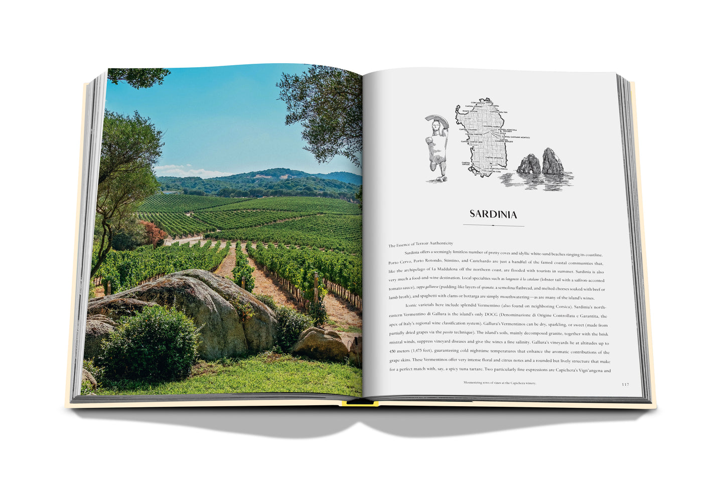 Photo book Wine &amp; Travel Mediterranean Islands
