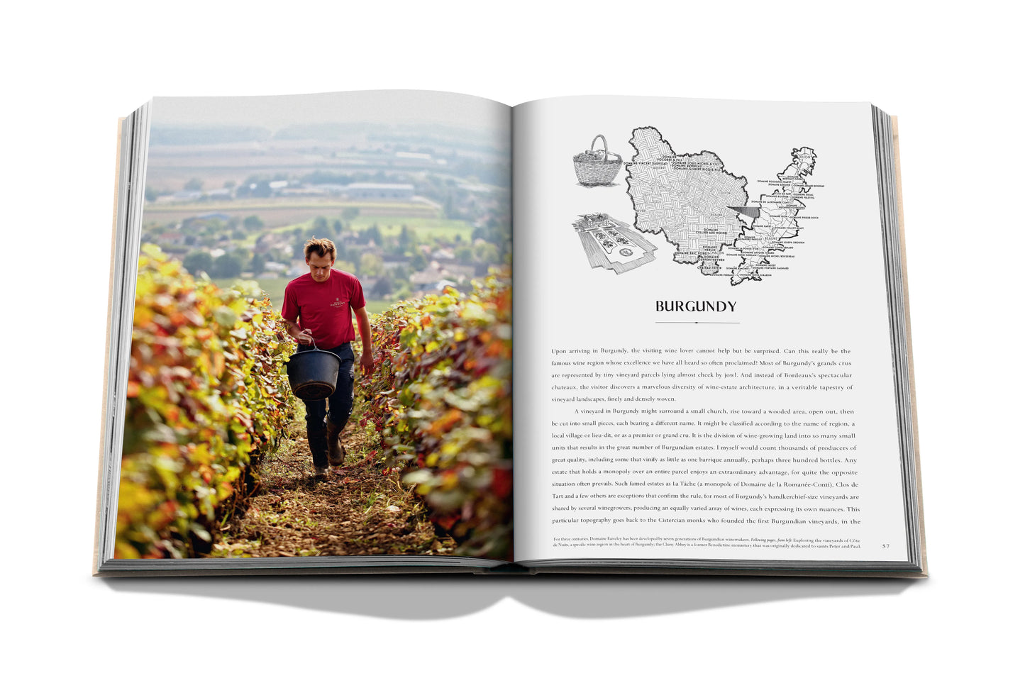 Bildband Wine & Travel France