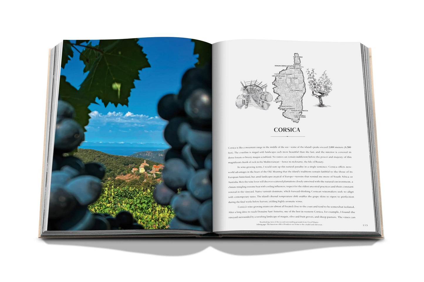 Bildband Wine & Travel France