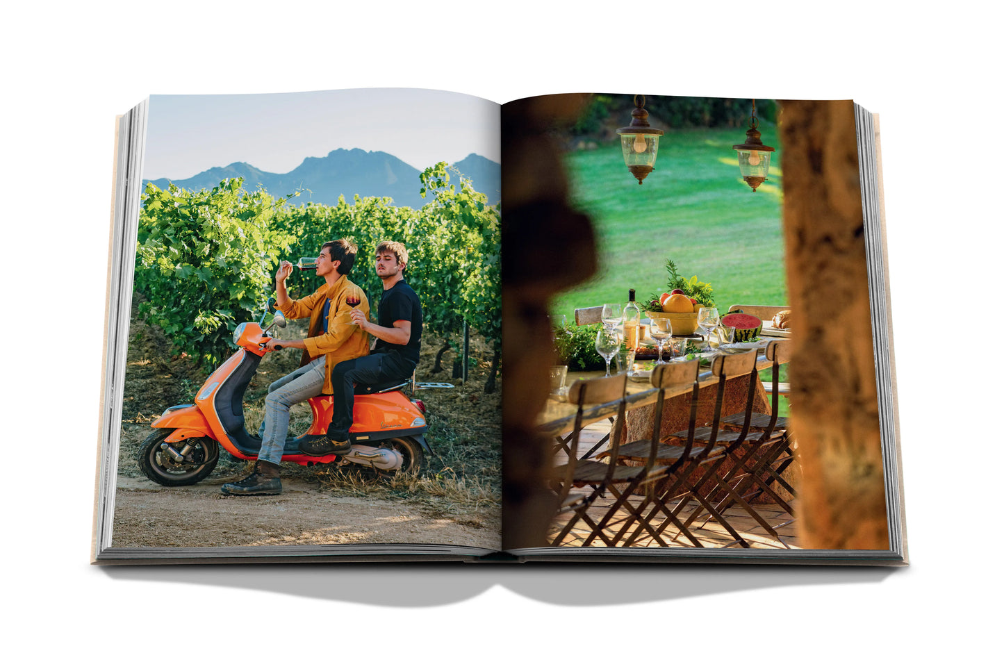 Bildband Wine & Travel France