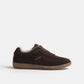 Sneaker Have You Ever in Chocolate