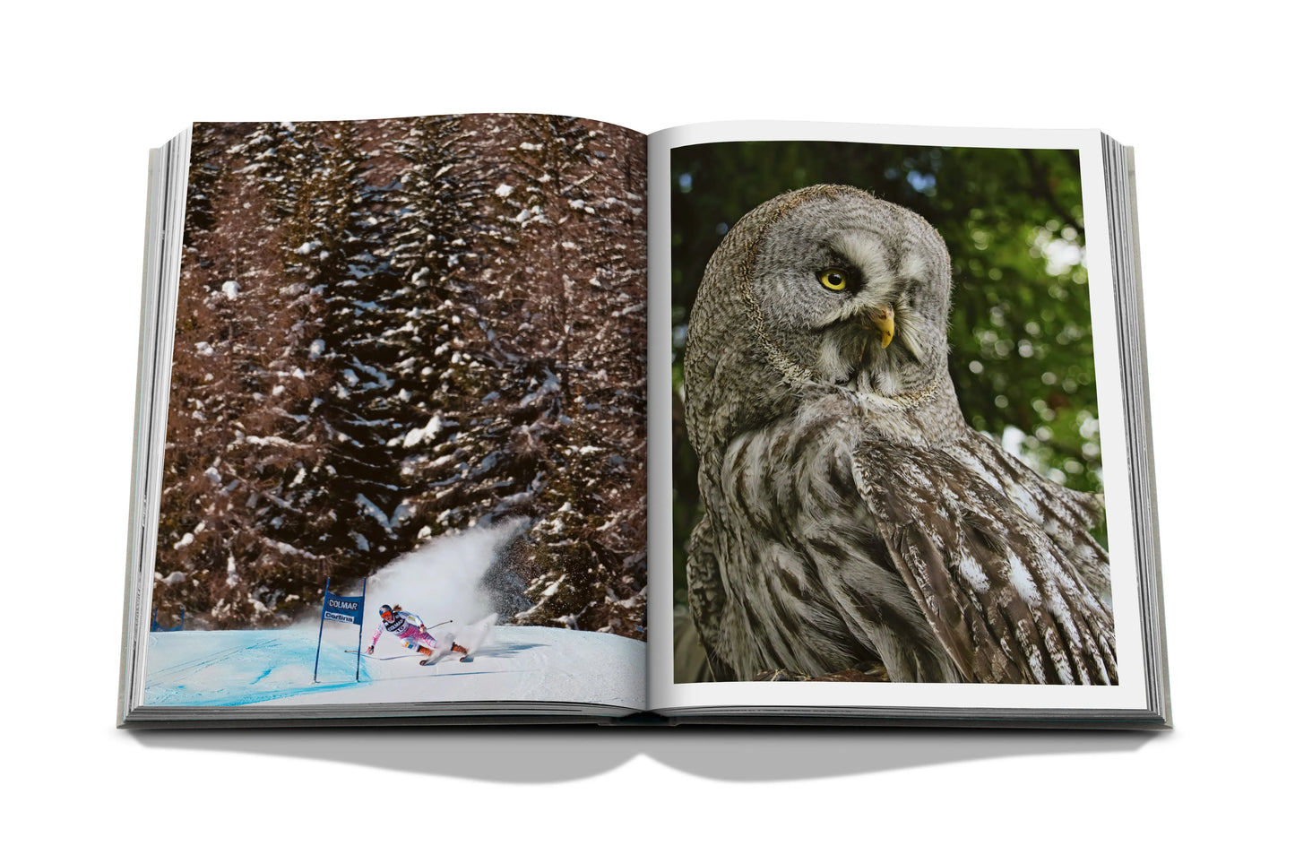 Cortina d'Ampezzo photo book