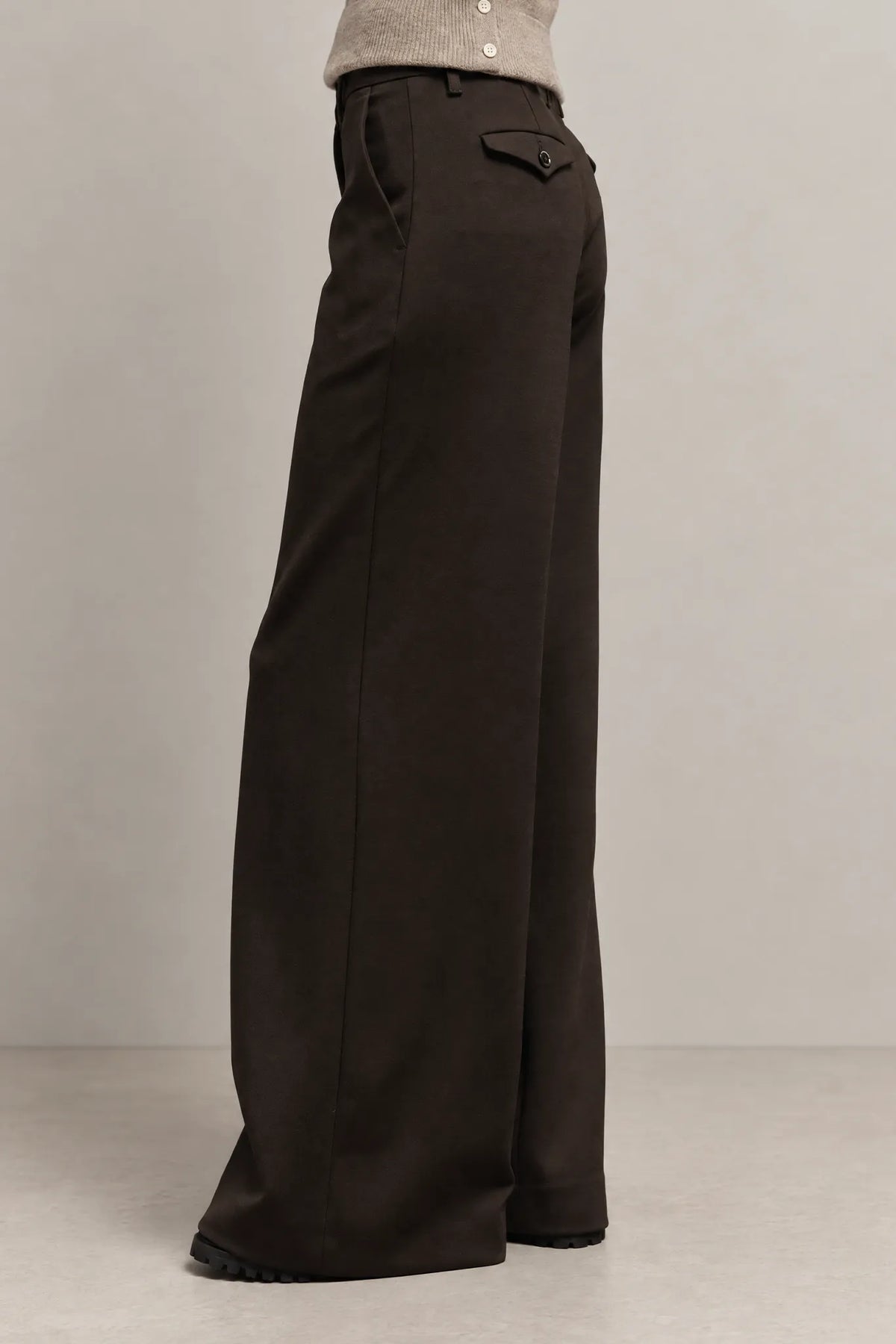 Hose Nadia Chino Palazzo in Moro