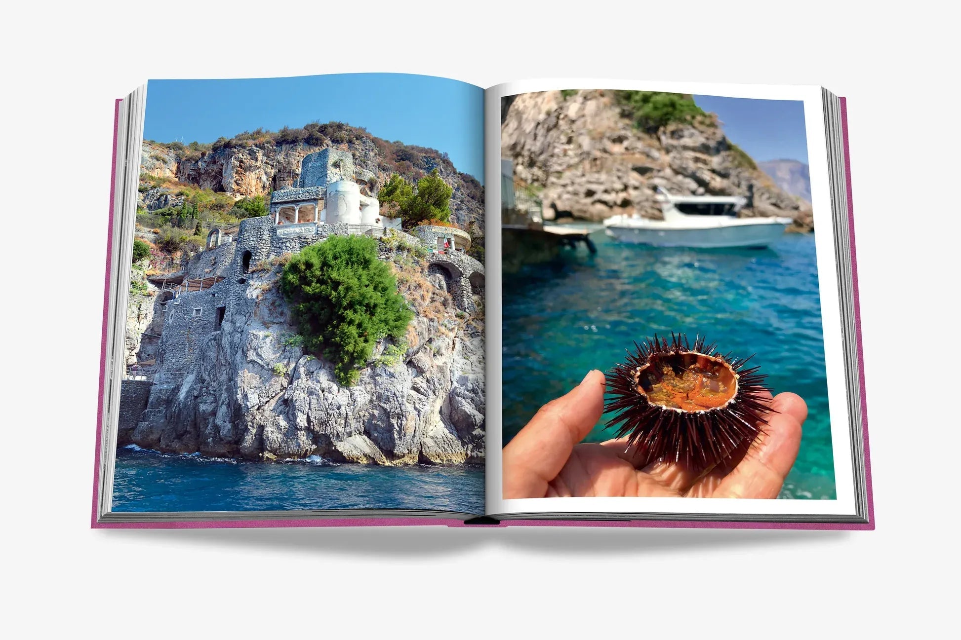 Travel Book ASSOULINE für Damen